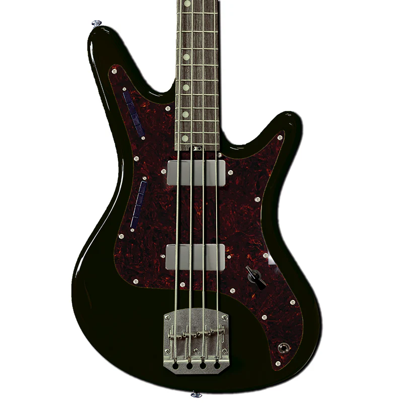 Acinonyx Short Scale Bass - Image 23