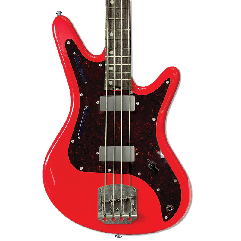 Acinonyx Short Scale Bass - Image 25