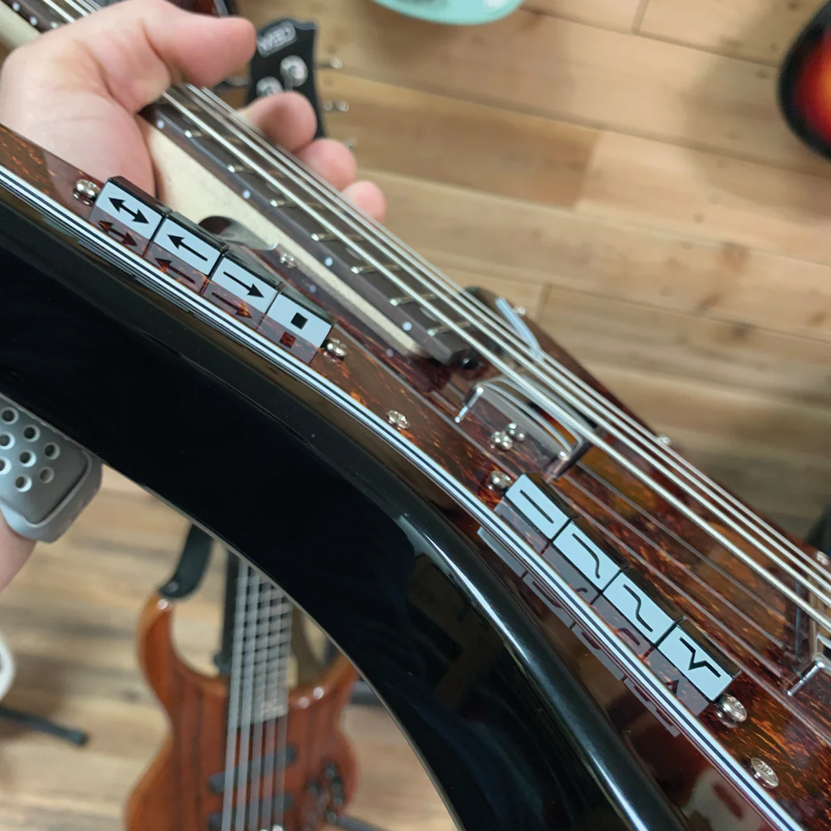 Acinonyx Short Scale Bass - Image 3