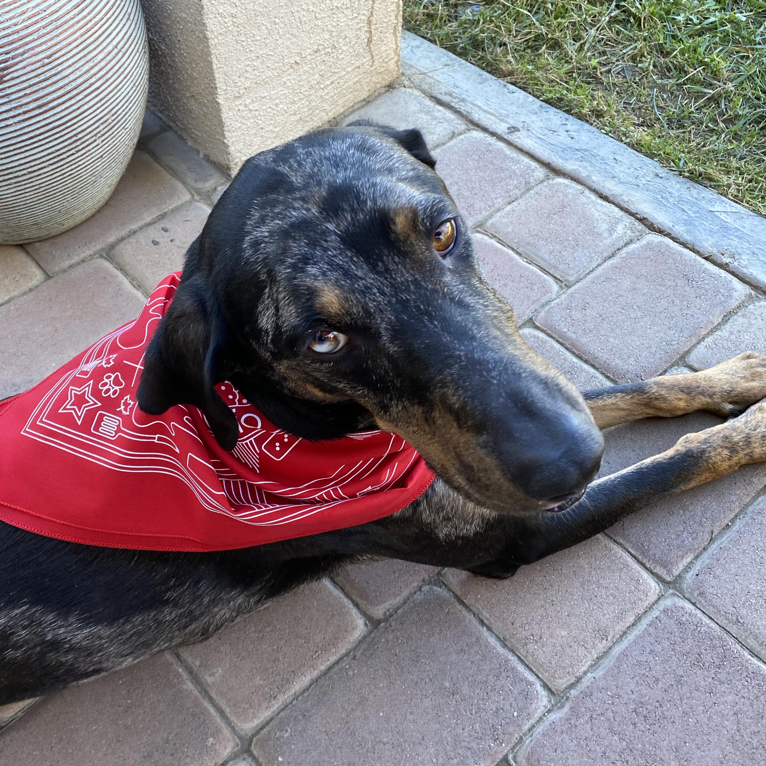 Nordstrand Hometown Bandana - Image 3